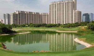 498260302dlf camelias banner